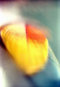 img006_039.jpg